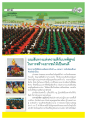 บทความพิเศษ: อุบลเขียว ochrym