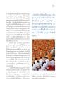 สร้างบารมีและความปีติในพระพุทธศาสนา