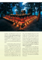 ประสบการณ์การทำสมาธิและการเข้าใจในพระพุทธศาสนา
