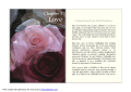 Connections of Love from Past Existences