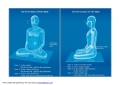 The Seven Bases of The Mind
