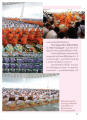 พิธีถวายโคมมาฆประทีป