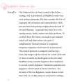 Buddhist Views on Sex and Celibacy