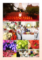 หน้า24