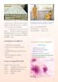 การก่อสร้างศาลาปฏิบัติธรรมและงานบุญทอดผ้าป่าสามัคคี
