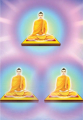 หน้า11