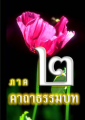 หน้า23