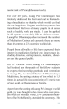 The Influence of Luang Por Dhammajayo on Global Meditation