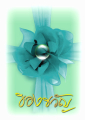 หน้า1