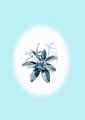 หน้า119