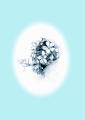 หน้า40