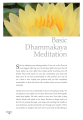 Basic Dhammakaya Meditation Techniques