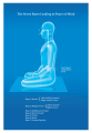 The Seven Bases Leading to Peace of Mind