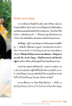 ชีวิตนักบวชประเสริฐสุด