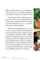 การทำปวารณาในหมู่คณะ