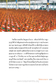 การบำเพ็ญสมณธรรมและวิชชาธรรมกาย