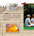 หน้า12