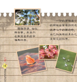 หน้า18