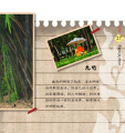 หน้า20
