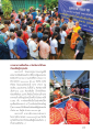 มูลนิธิธรรมกายและการช่วยเหลือผู้ประสบภัย