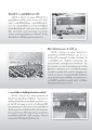 พิธีทอดผ้าป่าและการปฏิบัติธรรมในภาคใต้