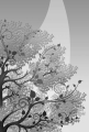 หน้า12