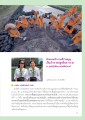 ร่วมบุญปลูกดาวรุ่งที่ศูนย์ปฏิบัติธรรมเวิลด์พิซซ่าวัลเลย์