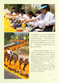 การปลูกดาวรวยที่วัดคลองขาว