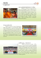 กิจกรรมและรางวัลที่วัดพระธรรมกาย