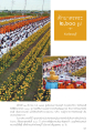 พิธีตักบาตรพระ 2,600 รูป จังหวัดลพบุรี