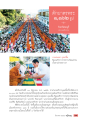 การตักบาตรพระครั้งใหญ่ในอำเภอศรีราชา