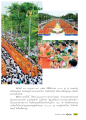 พิธีตักบาตร ๓,๐๐๐ รูป ณ พระบรมมหาราชวัง