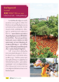 ประเพณีการเดินธุดงค์ต้อนรับพระบรมธาตุ จังหวัดอุดรธานี