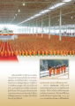 ฟื้นฟูพระพุทธศาสนาในประเทศไทย