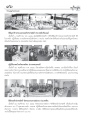 พิธีบูชาข้าวพระและทอดผ้าป่าสามัคคีในต่างประเทศ