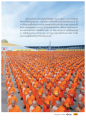 พลังแห่งศรัทธาและโครงการอุปสมบทหมู่ ๑๐๐,๐๐๐ รูป