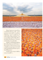 คุณค่าของบารมีและการบวชในพระพุทธศาสนา