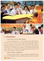 การเดินทางด้วยทิวลิปดอกไม้และการจุดโดมาน