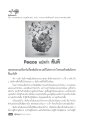 ข้อคิดเรื่องสันติภาพ