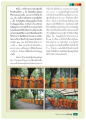 การถวายผ้ากฐินและบุญบารมีของนางวิสาขา