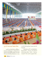 บุษาข้าวพระและวันสงฆ์โลก