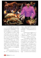 โทษและกรรมจากการฆ่าสัตว์และการประพฤติผิด