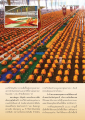 การบวชเพื่อฟื้นฟูพระพุทธศาสนา