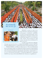 ประเพณีตักบาตรดอกไม้ จังหวัดสระบุรี