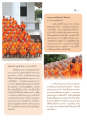 การบวชธรรมทายาทนานาชาติ