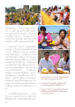 การปลูกดาวรวงและความเชื่อในโชคลาภ