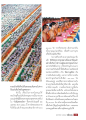 มหากุศลจากการรวมตัว 30,000 วัด