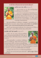 ความในใจจากตัวแทนพระธรรมฑายาทชาวเมียนมาร์