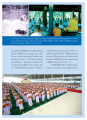 โครงการอบรมธรรมทายาทภาคฤดูร้อน