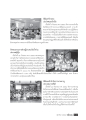 พิธีบูชาข้าวพระและกิจกรรมเพื่อสังคม